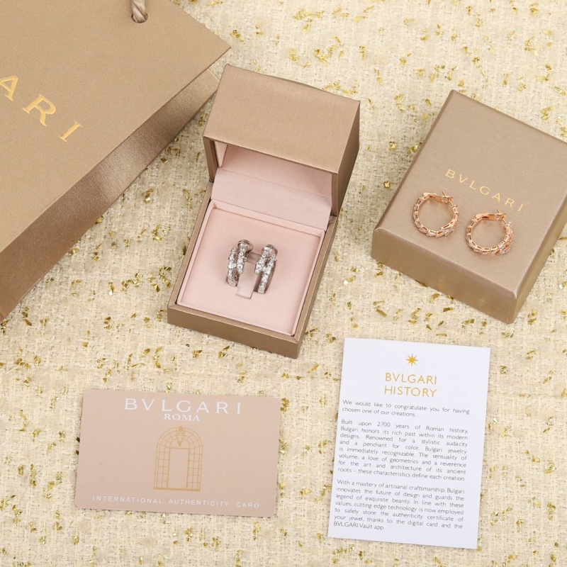 Bo*te*ga venenta earrings